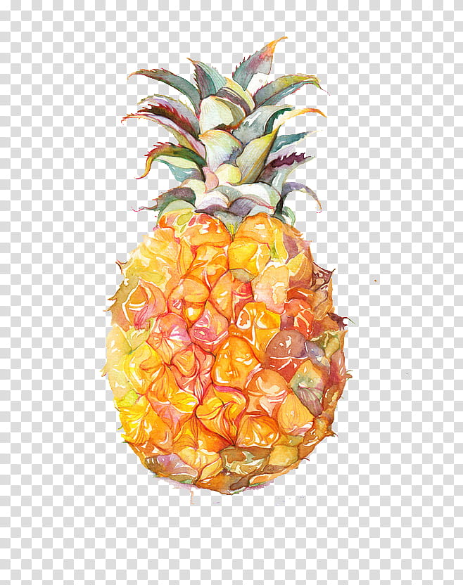 Pineapple, Ananas, Fruit, Food, Plant, Accessory Fruit, Natural Foods, Poales transparent background PNG clipart