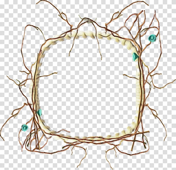 Twig, Line, Branch, Plant transparent background PNG clipart | HiClipart