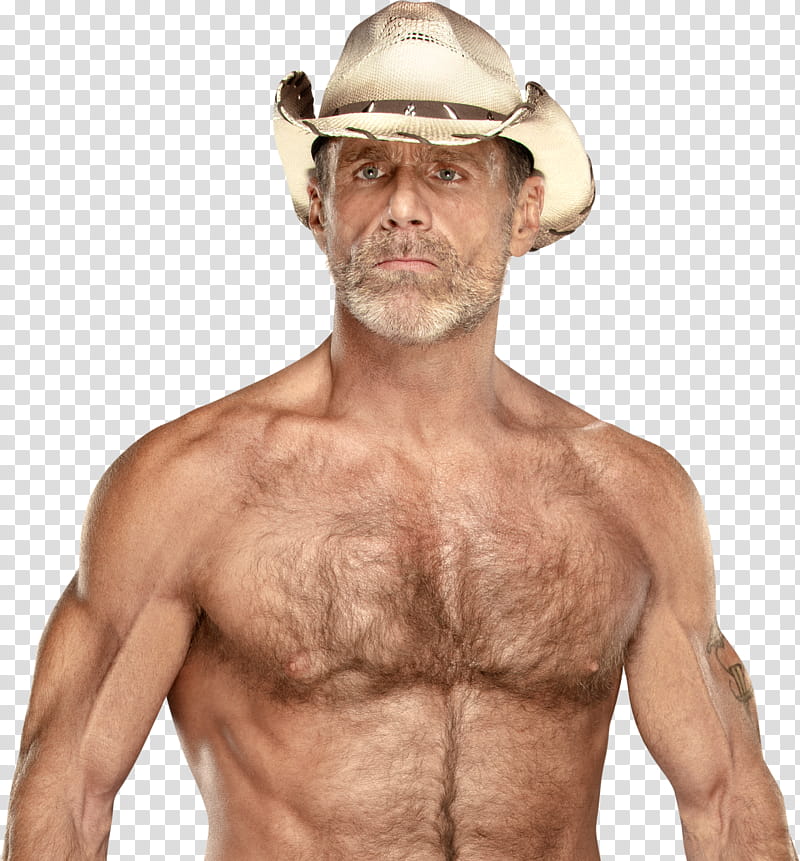 Shawn Michaels  NEW transparent background PNG clipart