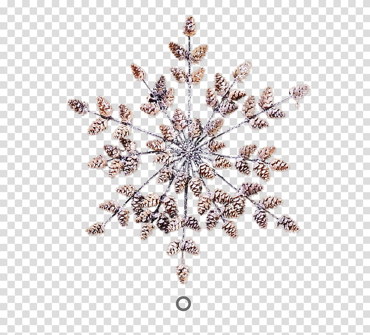 Christmas Decoration, Snowflake, Glass House, Brooch, Jewellery, Law, Clock, Advent transparent background PNG clipart