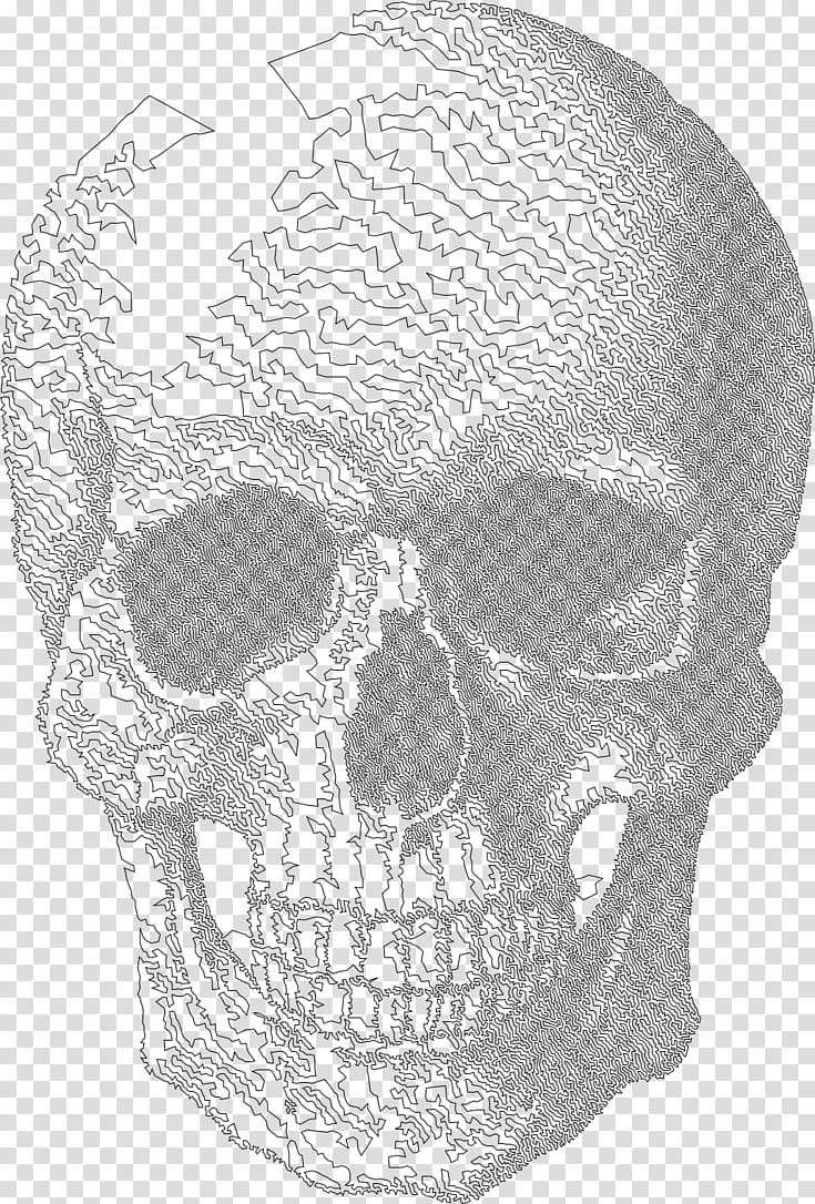Human Skull Drawing, Skull Art, Printmaking, Calavera, Head, Bone, Jaw, Black And White transparent background PNG clipart