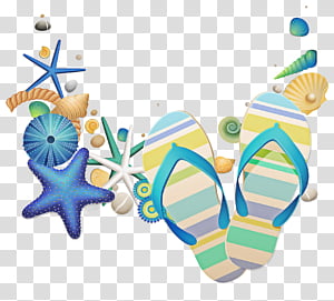turquoise transparent background PNG clipart thumbnail