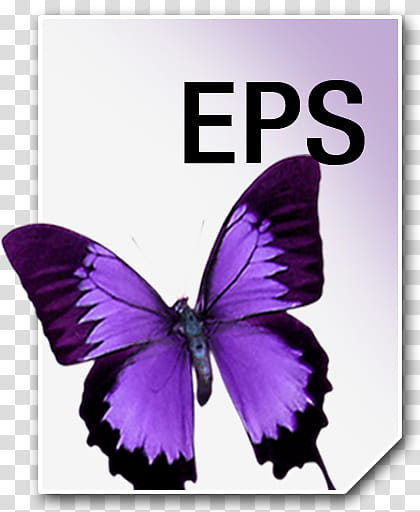 Adobe Neue Icons, EPS__, EPS logo transparent background PNG clipart