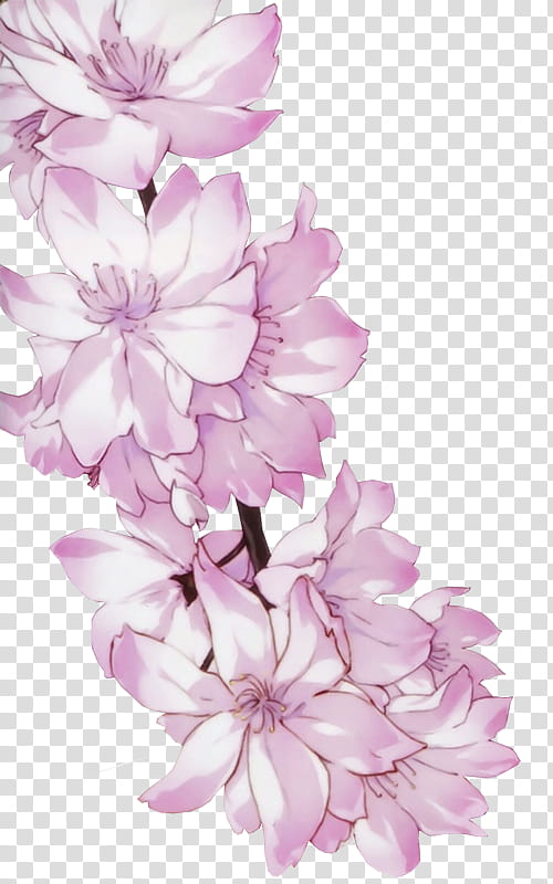 Watchers, pink and white flowers illustartion transparent background PNG clipart