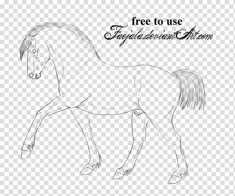 Draft/Nordanner Lineart, horse illustration transparent background PNG clipart