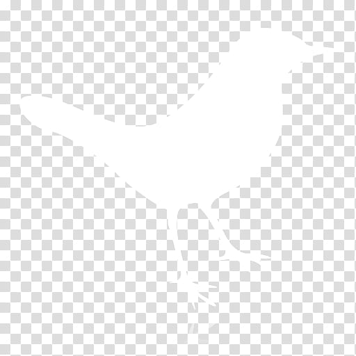 Syzygy A work in progress, white bird illustration transparent background PNG clipart