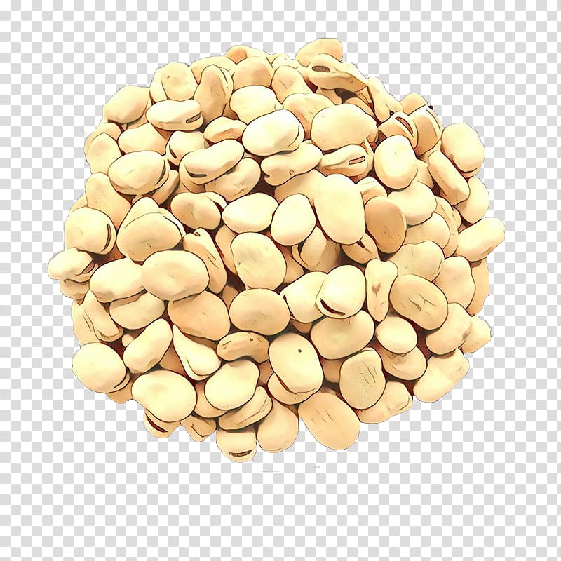 Fruits, Cartoon, Nut, Almond, Blanching, Dry Fruits, Peanut, Brazil Nut transparent background PNG clipart