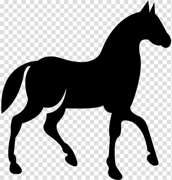 Hair, American Quarter Horse, Tennessee Walking Horse, Equestrian, Arabian Horse, Black, Collection, Jumping transparent background PNG clipart