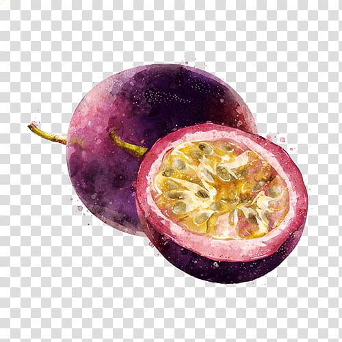 Watercolor Plant, Passion Fruit, Drawing, Watercolor Painting, Footage, Food, Superfood, Giant Granadilla transparent background PNG clipart
