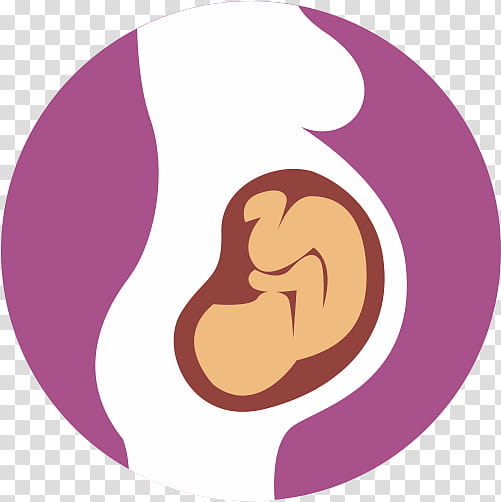 Pregnancy, Fetus, Infant, Childbirth, Alcohol And Pregnancy, Prenatal Development, Uterus, Postpartum Period transparent background PNG clipart