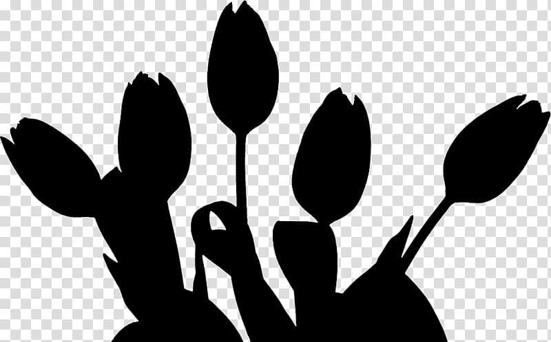 Black And White Flower, Cut Flowers, Tulip, Plant Symbolism, Birth Flower, Carnation, Disease, Chronic Condition transparent background PNG clipart