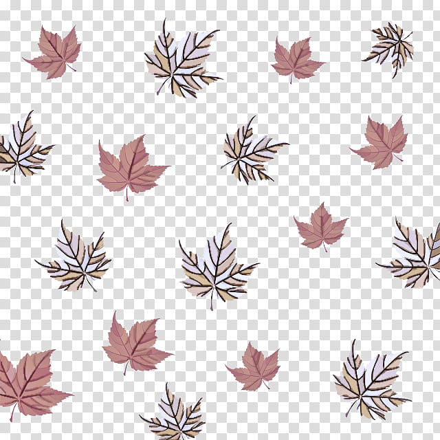 leaf plant transparent background PNG clipart