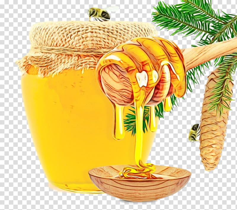 food honey plant drink ingredient, Watercolor, Paint, Wet Ink transparent background PNG clipart