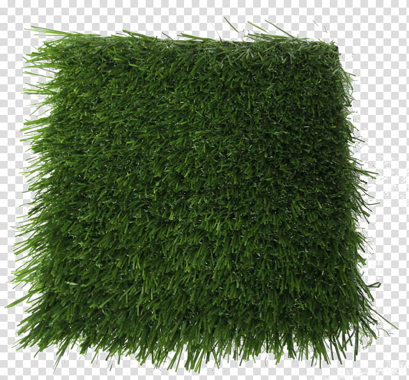 Green Grass, Lawn, Artificial Turf, Polypropylene, Price, Yarn, Quality, Wholesale transparent background PNG clipart
