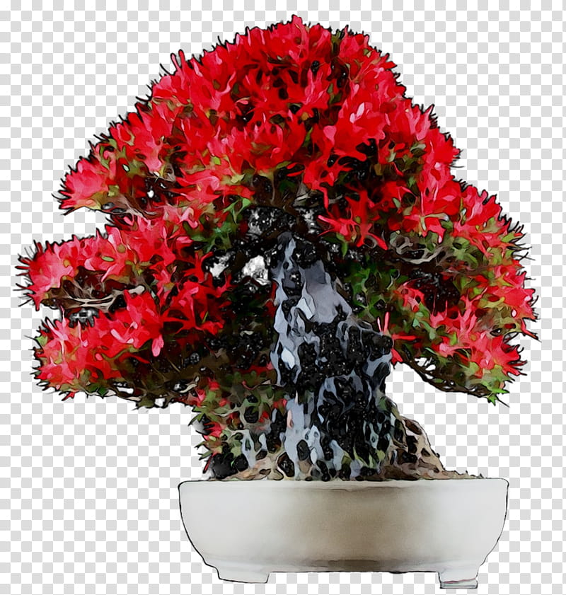 Flowers, Azalea, Floral Design, Flowerpot, Cut Flowers, Bonsai, Tree, Iphone Xr transparent background PNG clipart