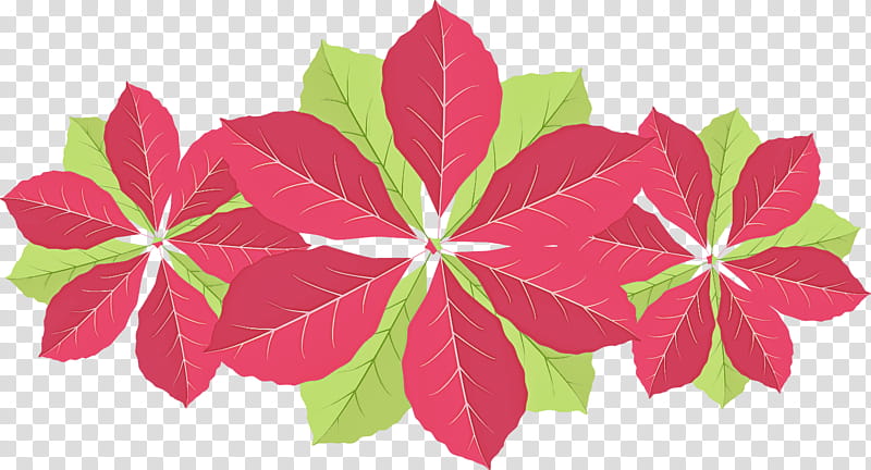leaf pink flower plant petal, Magenta, Wood Sorrel Family, Symmetry transparent background PNG clipart