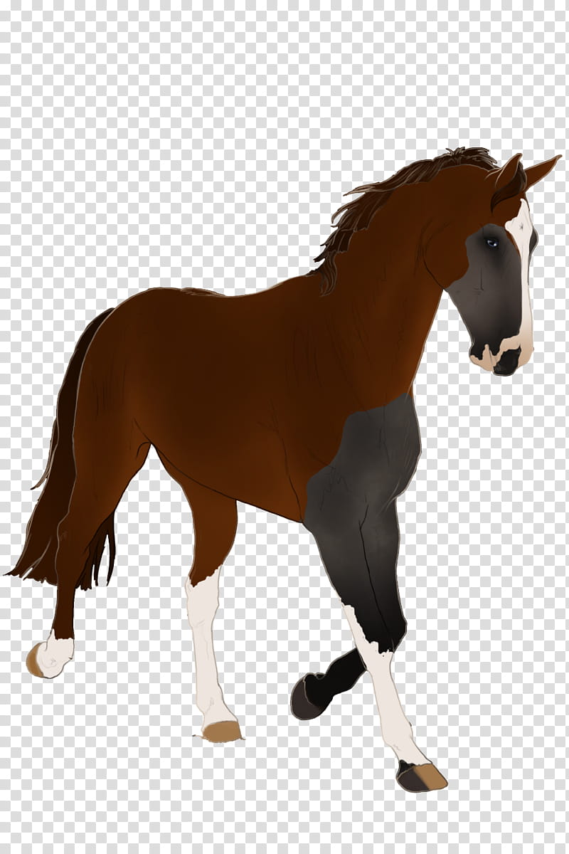 Horse, Pintabian, Pony, Schleich, Clydesdale Horse, Hanoverian Horse, Trakehner, Toy transparent background PNG clipart