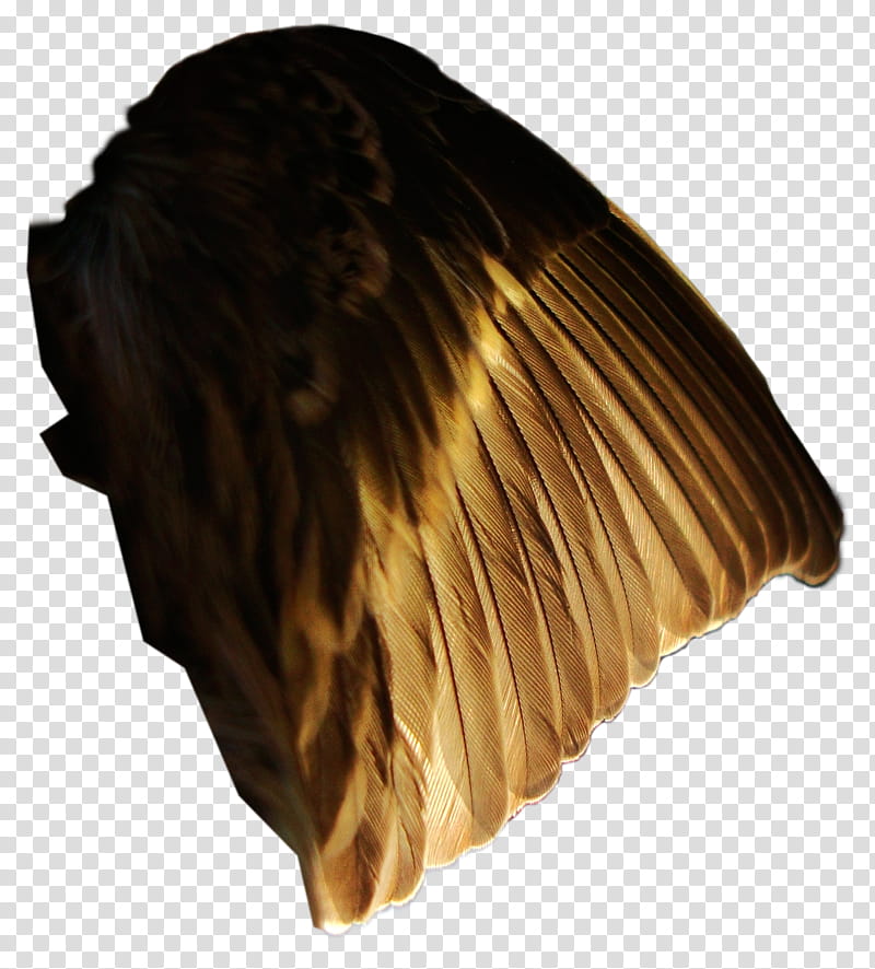 Pine Siskin Light Wing , brown wing transparent background PNG clipart