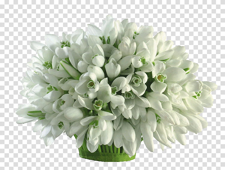 Bouquet Of Flowers, Flower Bouquet, Snowdrop, March 1, Birthday
, Vase, White, Cut Flowers transparent background PNG clipart
