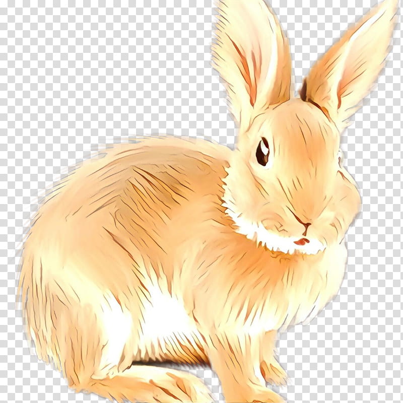 Wood, Hare, Whiskers, Rabbit, Snout, Rabbits And Hares, Animal Figure, Ear transparent background PNG clipart