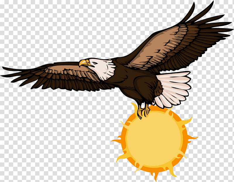 Eagle Point Solar, American eagle and sun transparent background PNG clipart