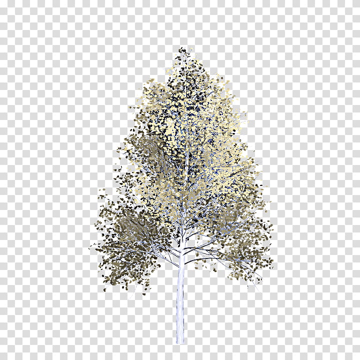 Christmas tree, White Pine, Plant, Woody Plant, Leaf, Twig, American Larch, Red Pine transparent background PNG clipart