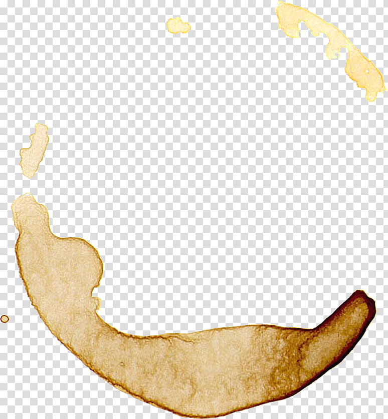 Coffee Break Elements  transparent background PNG clipart