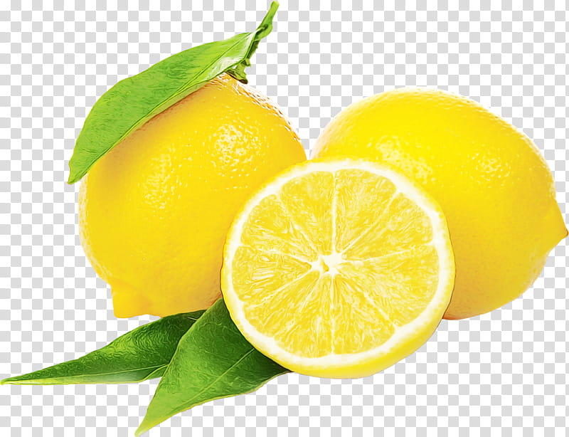 lemon citrus persian lime fruit natural foods, Watercolor, Paint, Wet Ink, Lemonlime, Meyer Lemon, Sweet Lemon, Citric Acid transparent background PNG clipart
