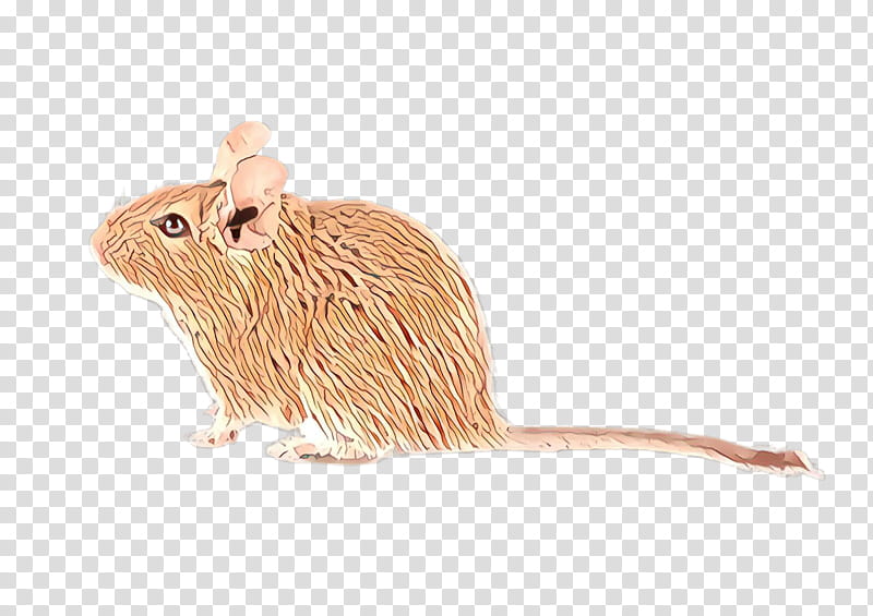 mouse muridae rat animal figure gerbil, Beige, Pest, Muroidea, Fawn transparent background PNG clipart