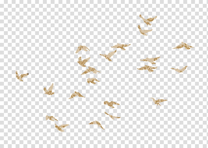 Raindrops and Rainbows, flying flock of bird illustration transparent background PNG clipart