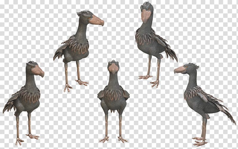 Spore Creature: Shoebill transparent background PNG clipart