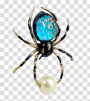 Insect Jewelry s, blue gemstone and white pearl black spider brooch transparent background PNG clipart