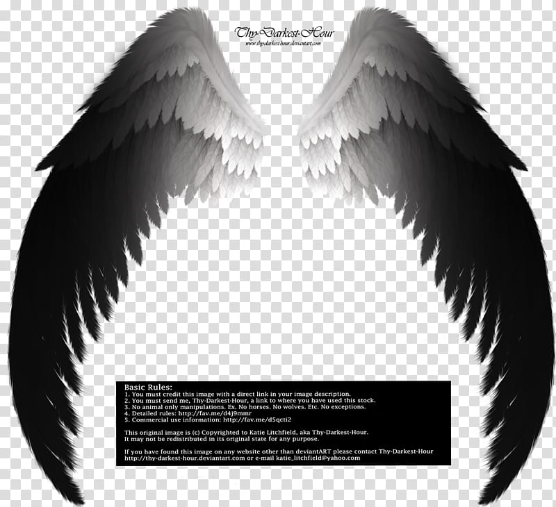 Arch Angel Wings Smooth Transition, black and gray wings illustration transparent background PNG clipart