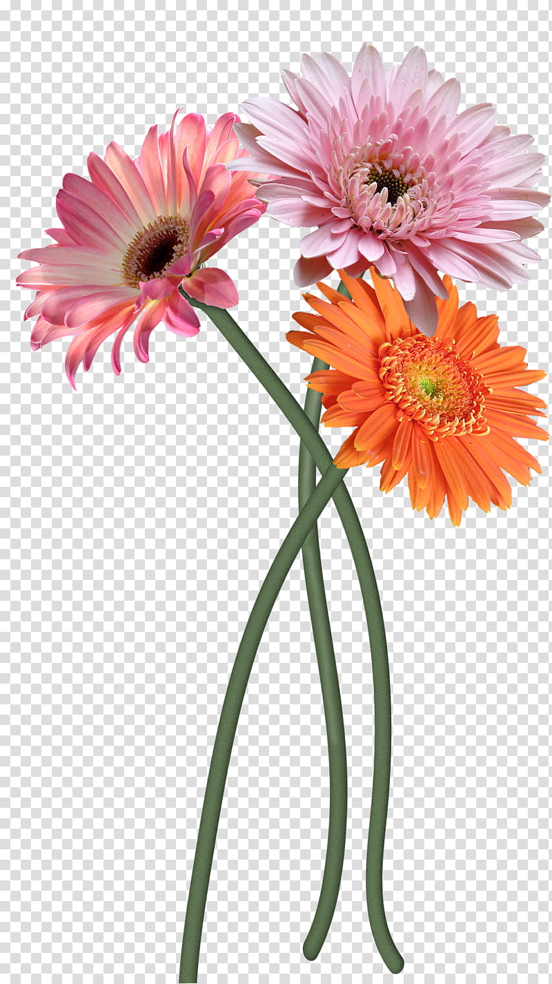 Flowers, three artificial flowers transparent background PNG clipart