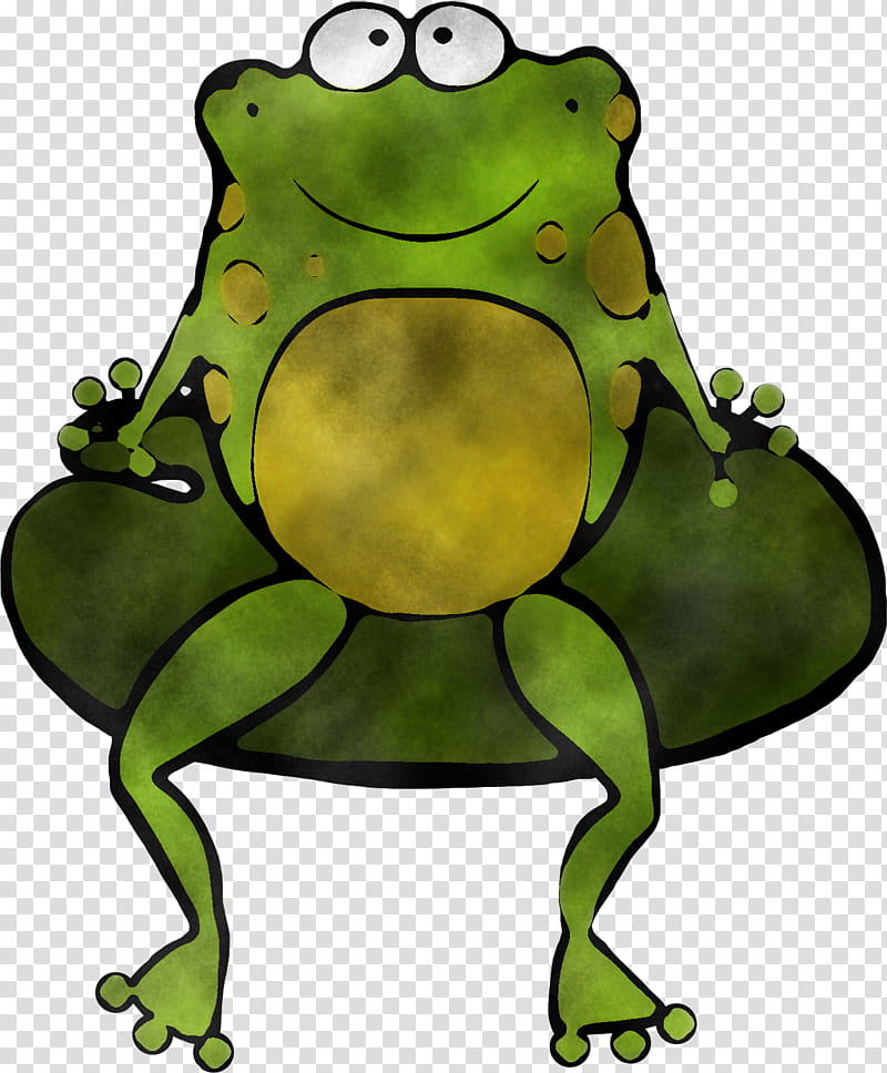 green frog cartoon toad hyla, True Frog, Bullfrog, Tree Frog transparent background PNG clipart