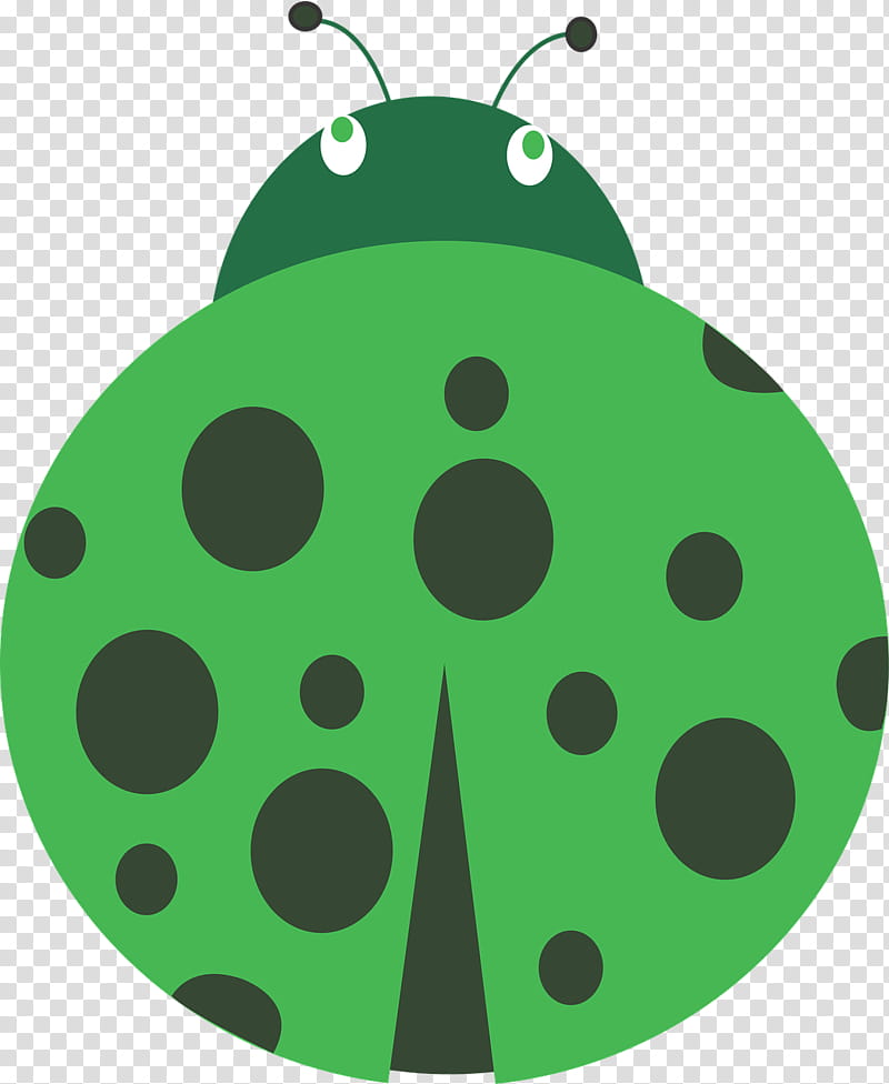 Animal, Beetle, Ladybird Beetle, Green, Green Shield Bug, True Bugs, Insect transparent background PNG clipart