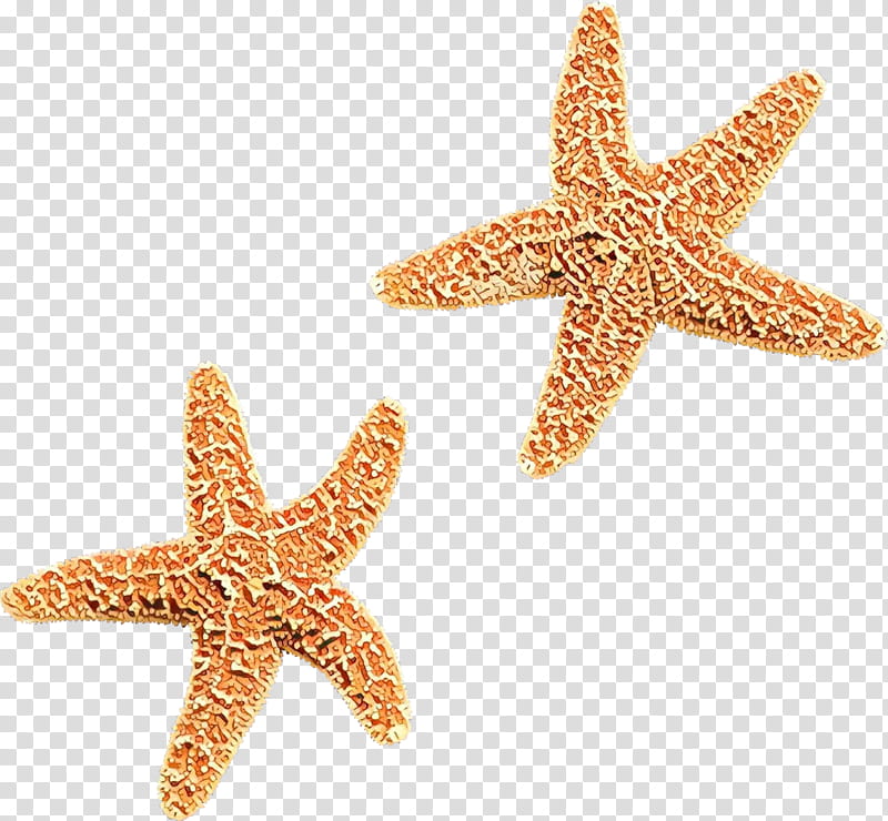 Star, Cartoon, Starfish, Sea, Animal, Jewellery transparent background PNG clipart