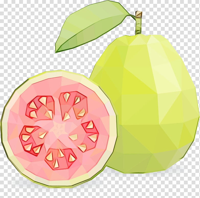 fruit plant guava leaf food, Watercolor, Paint, Wet Ink, Tree, Citrus transparent background PNG clipart