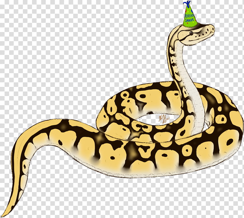 ball python drawings