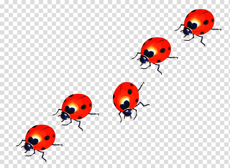 fruit, five orange-and-black ladybugs illustration transparent background PNG clipart