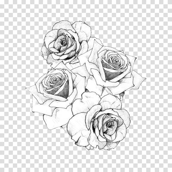 BLACK AND WHITE S, roses sketch transparent background PNG clipart