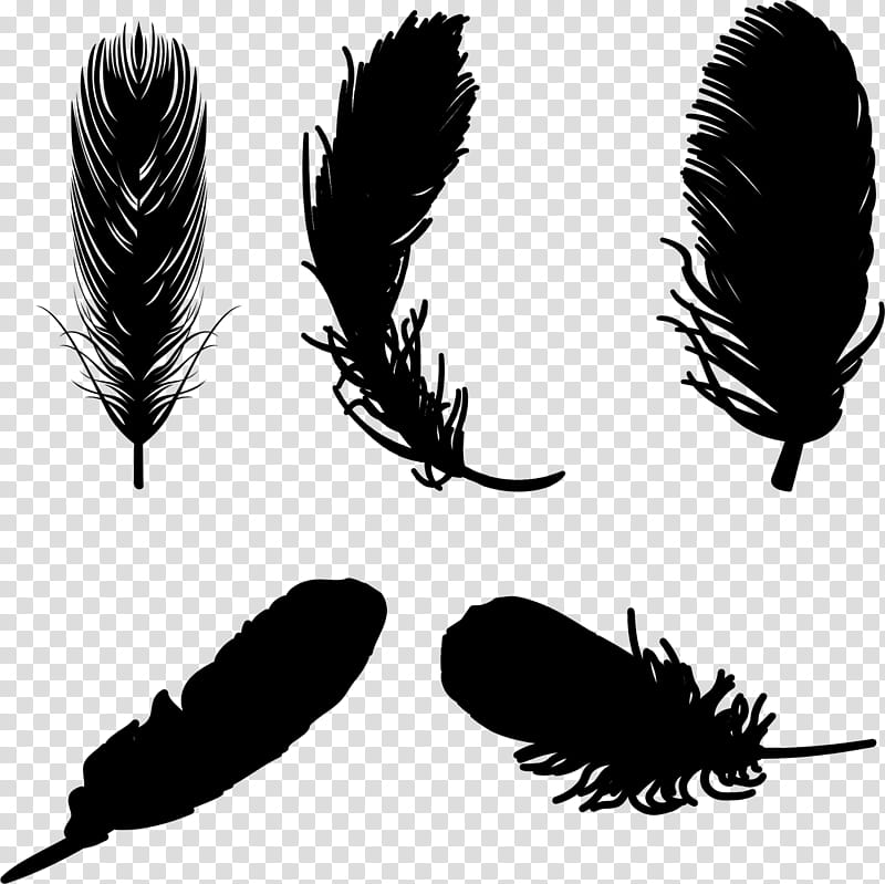 Eye, Feather, Eyebrow, Quill, Wing, Writing Implement, Plant, Eyelash transparent background PNG clipart