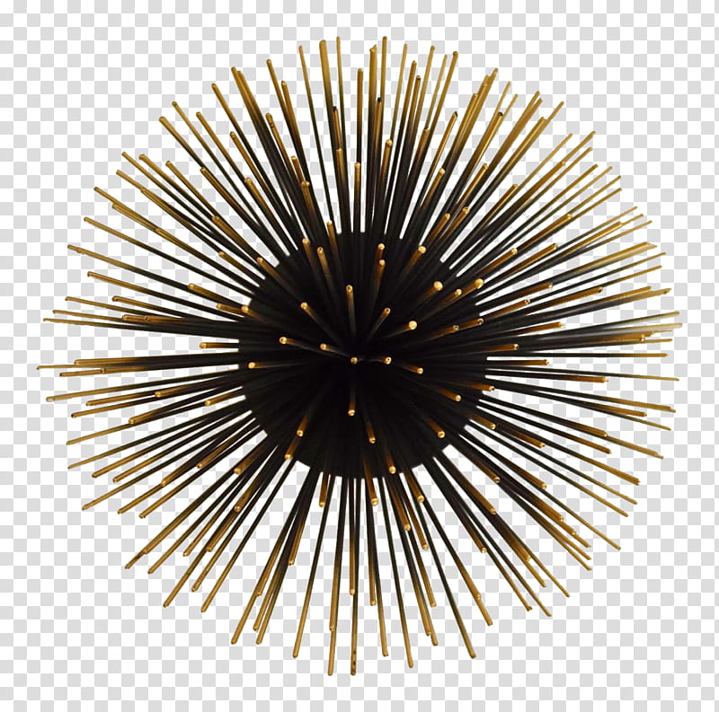 Metal, Sea Urchin, Wall, Ornament, Bookcase, Idea, Candle, Do It Yourself transparent background PNG clipart