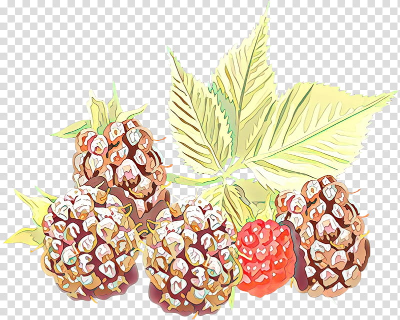 Pineapple, Natural Foods, Fruit, Plant, Rubus, Berry, Loganberry, Accessory Fruit transparent background PNG clipart