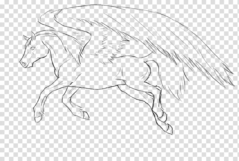 Pegasus Lineart, winged horse sketch transparent background PNG clipart