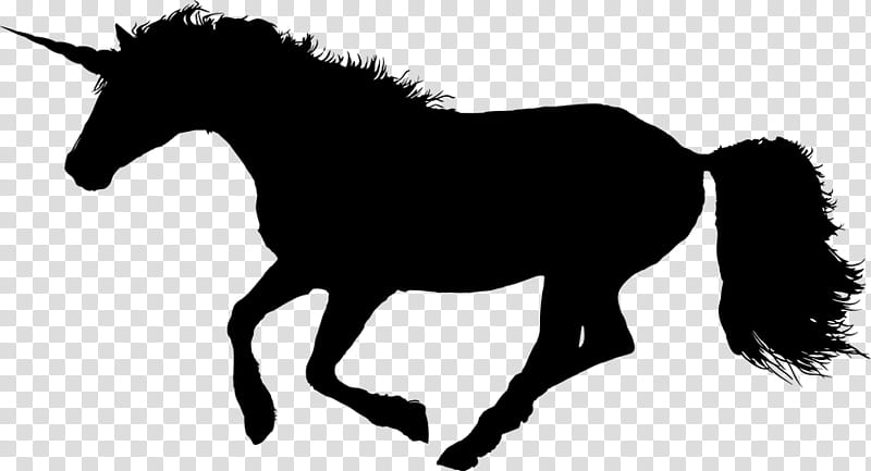 Unicorn, Thoroughbred, Pony, Canter And Gallop, Arabian Horse, Equestrian, Riding Horse, Black transparent background PNG clipart