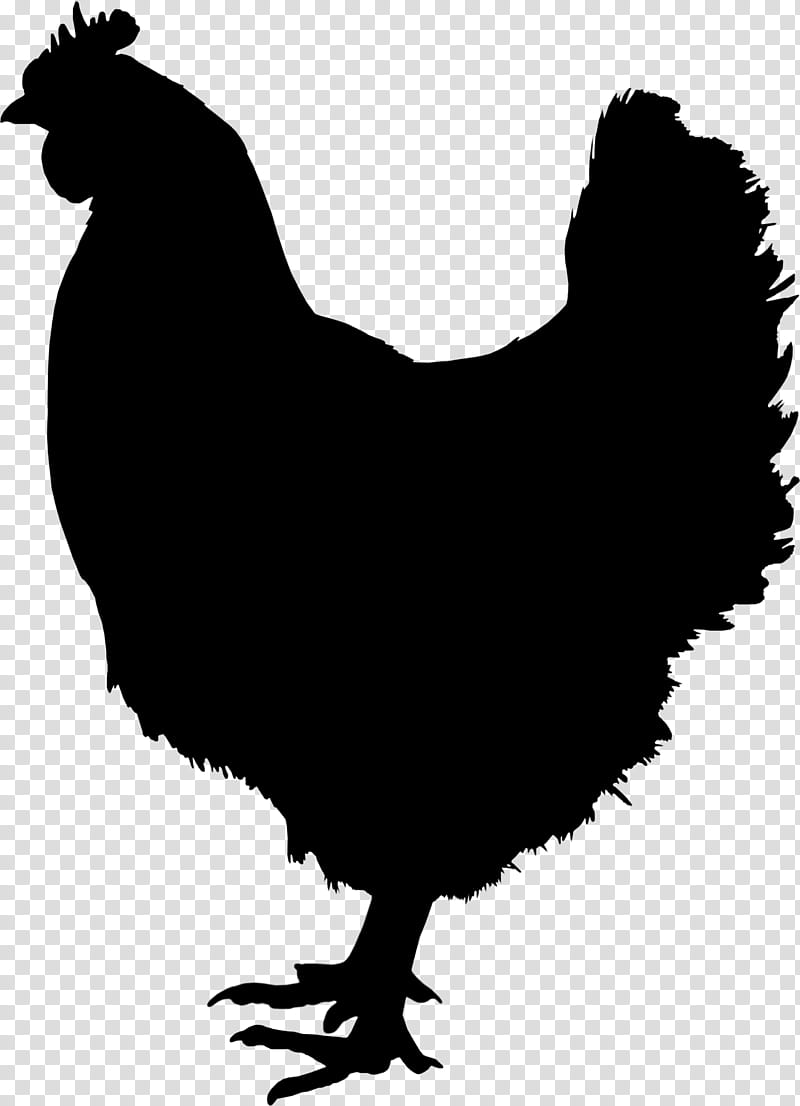 Chicken Logo, Rooster, Chicken As Food, Symbol, Bird, Beak, Wing, Live transparent background PNG clipart
