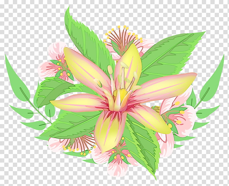 Lily Flower, Lily Of The Incas, Cut Flowers, Petal, Pink, Plant, Leaf, Stargazer Lily transparent background PNG clipart