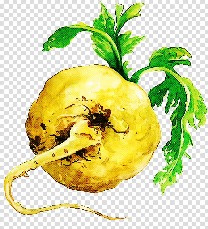 food root vegetable plant lepidium meyenii tuber, Natural Foods, Rutabaga, Vegetarian Food transparent background PNG clipart