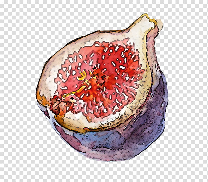 pomegranate fruit food accessory fruit common fig, Plant, Citrus, Food Spoilage, Grapefruit, Superfood, Superfruit transparent background PNG clipart